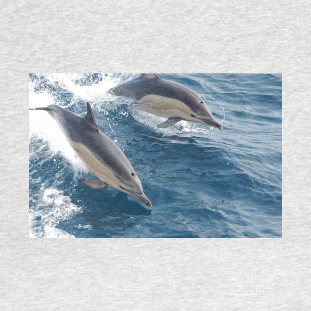 Common Dolphin by Bravuramedia